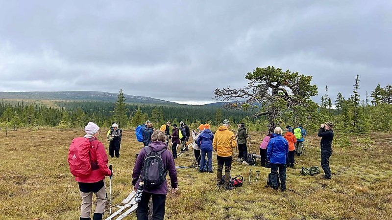 Vandringsresa till Klvsj, Jmtland 6-dagar
